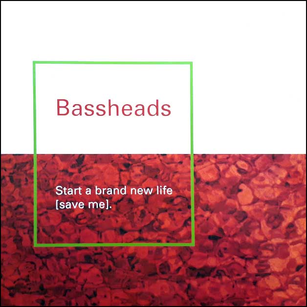 Bassheads - Start a Brand New Life (Stev Remix) - Link